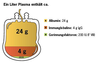 Plasma Service Europe - Bestandteile des Plasmas