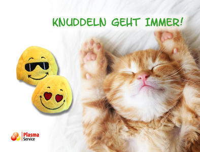 Plasma Service Europe 726 x 552 px 2019 KW 04 Weltknuddeltag