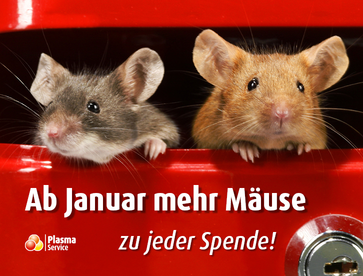 Plasma Service Europe 726 x 522 px 2022 KW 00 Aufwandsentschädigung: Ab Januar mehr Mäuse!